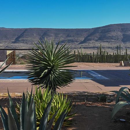 Casa Regina Oaxaca Villa San Pablo Villa de Mitla Dış mekan fotoğraf