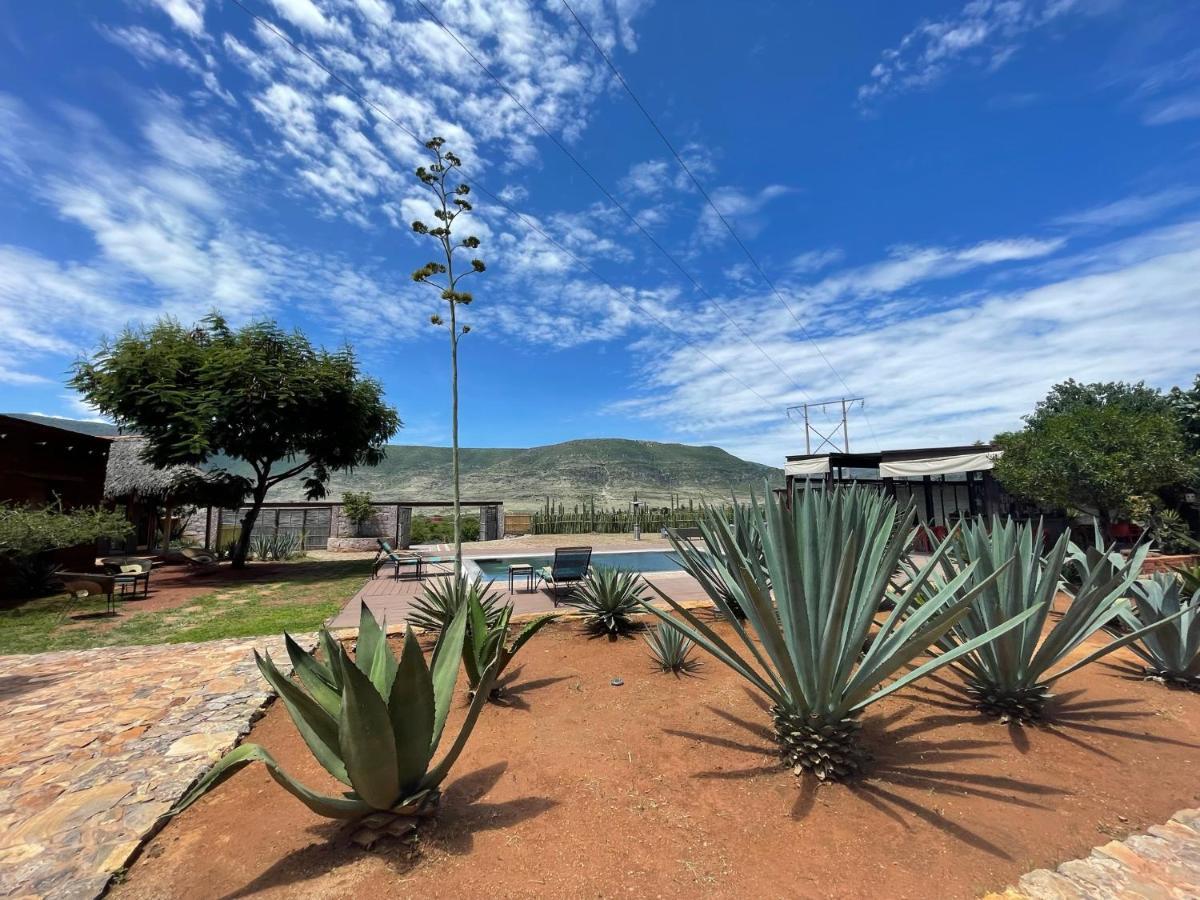 Casa Regina Oaxaca Villa San Pablo Villa de Mitla Dış mekan fotoğraf