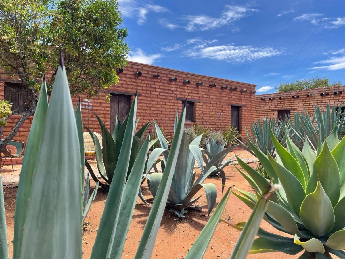 Casa Regina Oaxaca Villa San Pablo Villa de Mitla Dış mekan fotoğraf