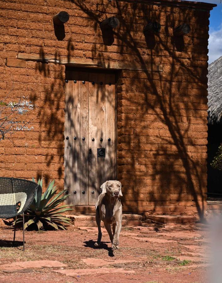 Casa Regina Oaxaca Villa San Pablo Villa de Mitla Dış mekan fotoğraf