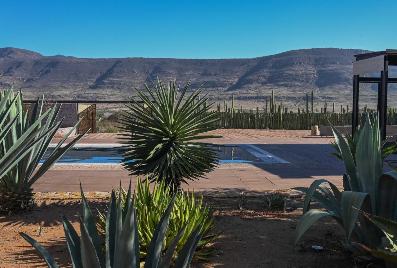 Casa Regina Oaxaca Villa San Pablo Villa de Mitla Dış mekan fotoğraf