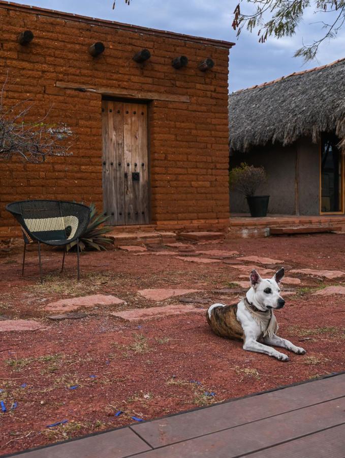 Casa Regina Oaxaca Villa San Pablo Villa de Mitla Dış mekan fotoğraf
