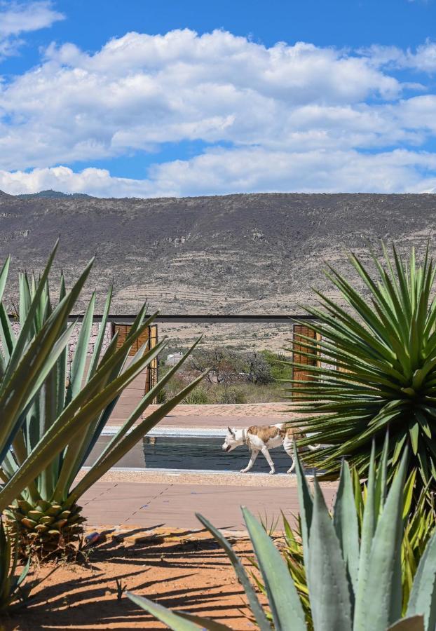 Casa Regina Oaxaca Villa San Pablo Villa de Mitla Dış mekan fotoğraf