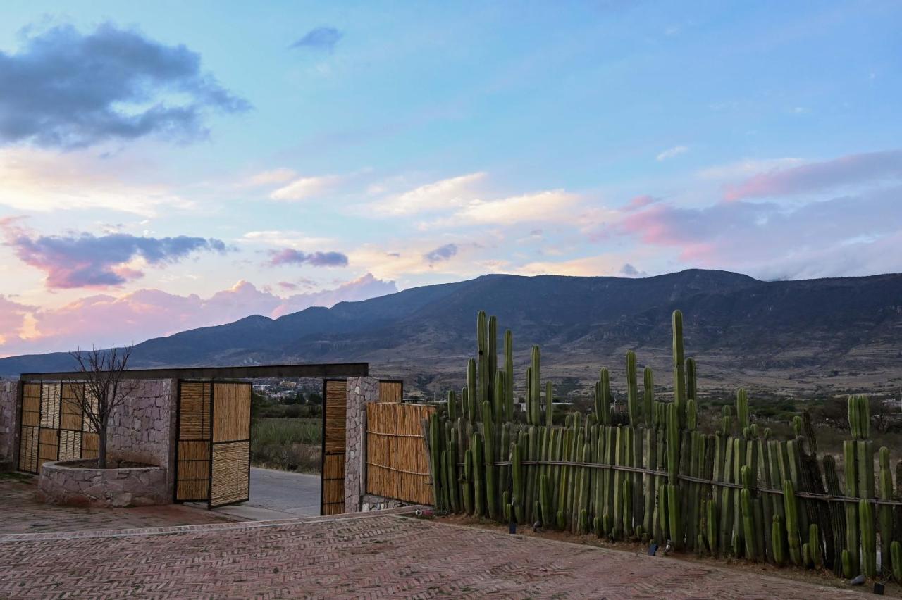 Casa Regina Oaxaca Villa San Pablo Villa de Mitla Dış mekan fotoğraf