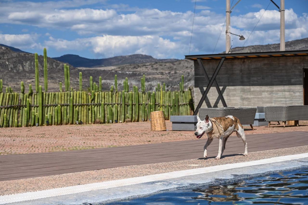 Casa Regina Oaxaca Villa San Pablo Villa de Mitla Dış mekan fotoğraf